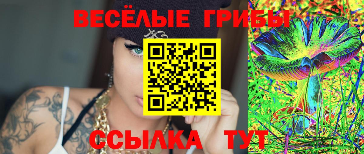 Галлюциногенные грибы Psilocybine cubensis  Вход с VPN  Советская Гавань 