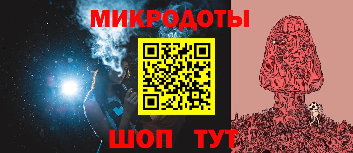 Псилоцибиновые грибы Psilocybe Советская Гавань